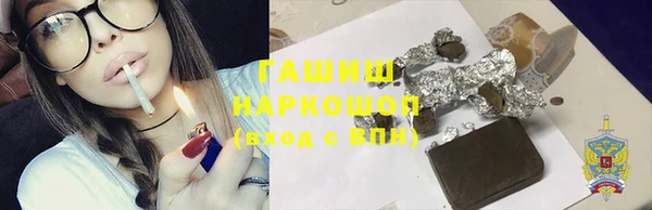 индика Михайловск