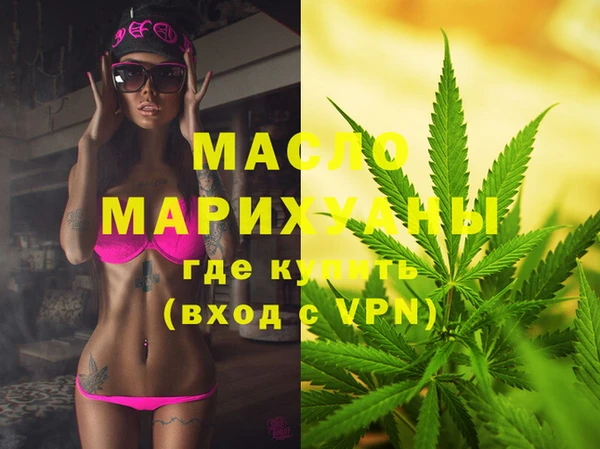 мет Алексин