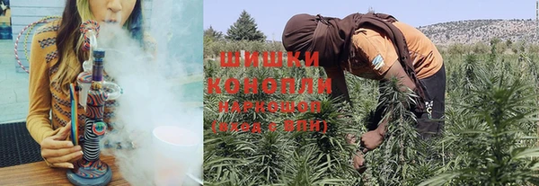 прущие крисы Михайлов
