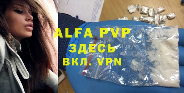 спиды Арсеньев